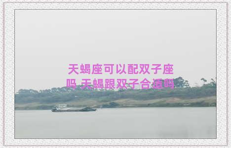 天蝎座可以配双子座吗 天蝎跟双子合适吗